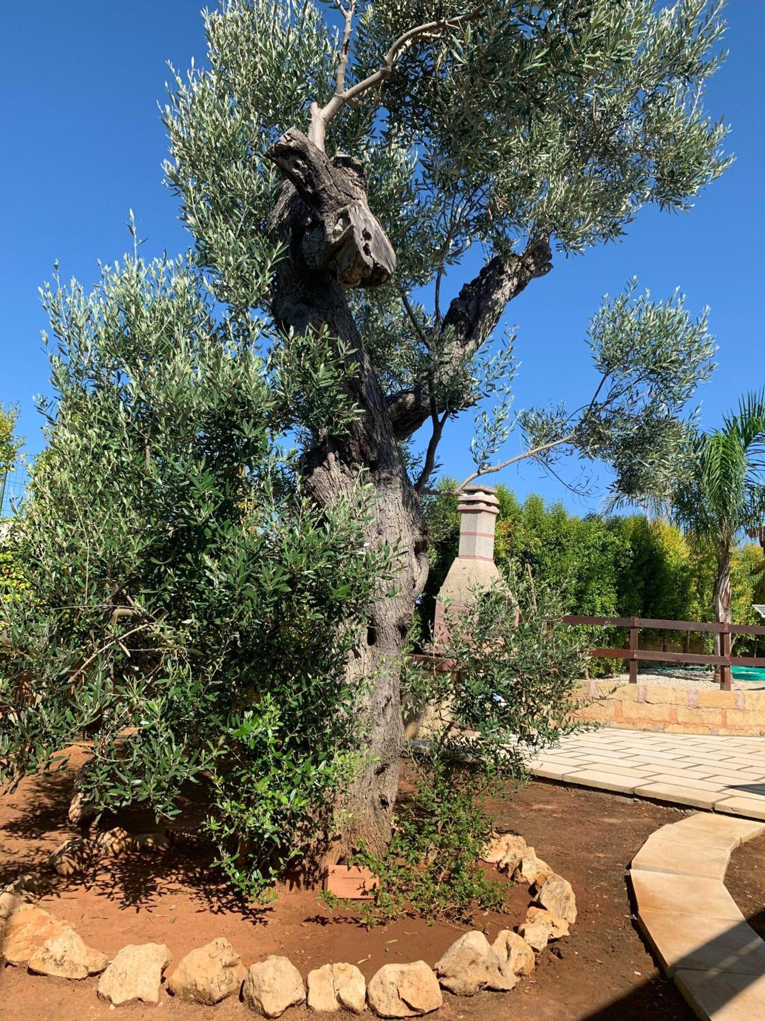 Villetta Mari Con Piscina Esclusiva Nel Salento Capilungo 外观 照片